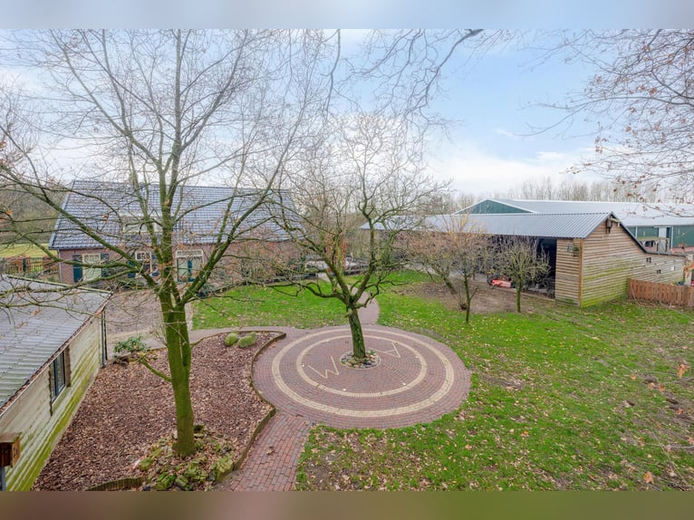 Complete equestrian accommodation