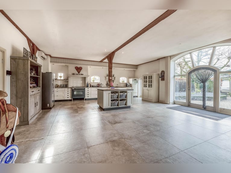Complete equestrian accommodation