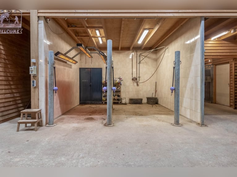 Complete equestrian accommodation