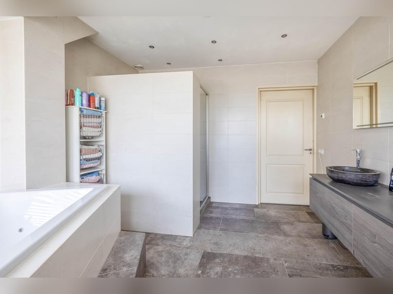 Complete equestrian accommodation