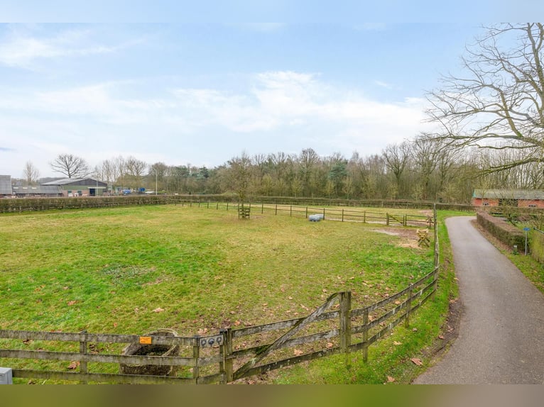 Complete equestrian accommodation