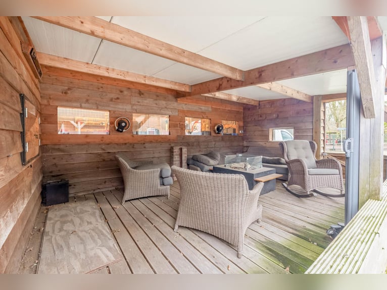 Complete equestrian accommodation