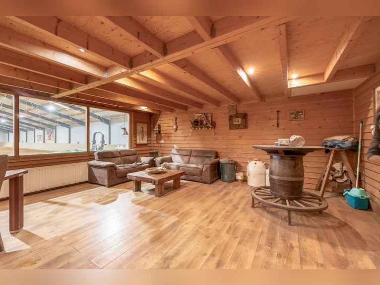 Complete equestrian accommodation