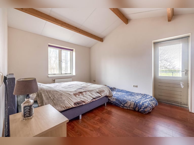 Complete equestrian accommodation