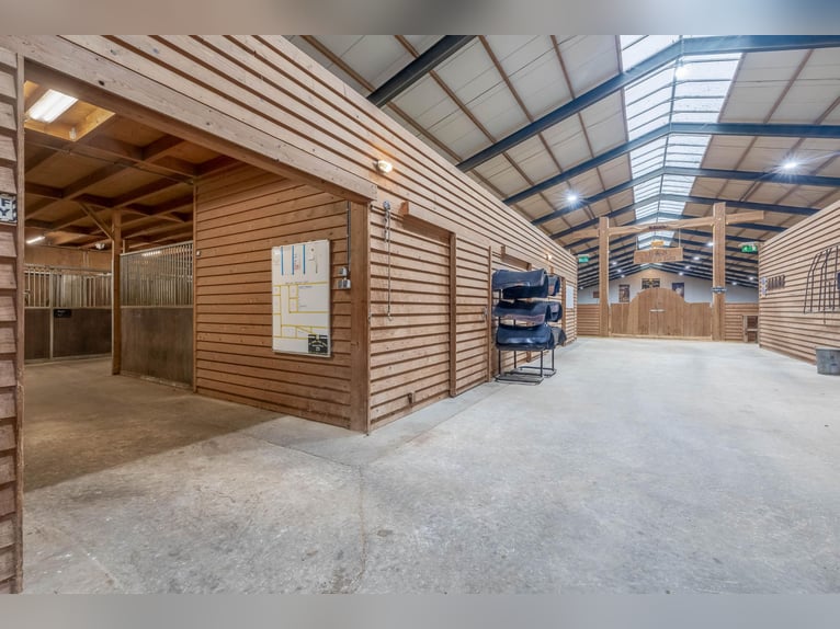 Complete equestrian accommodation
