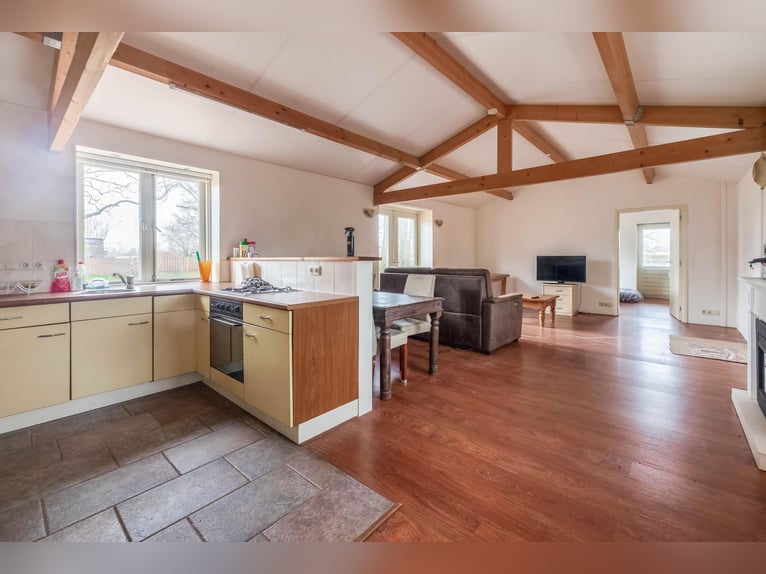 Complete equestrian accommodation