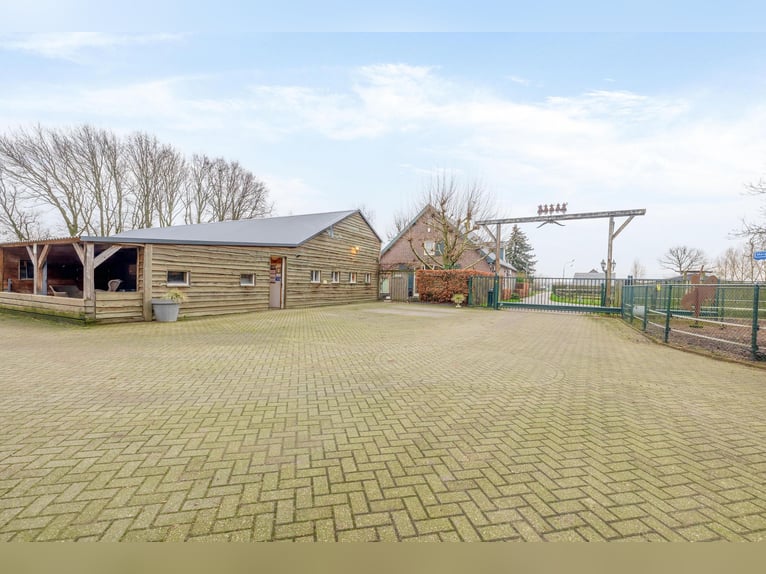 Complete equestrian accommodation
