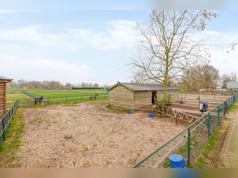 Complete equestrian accommodation