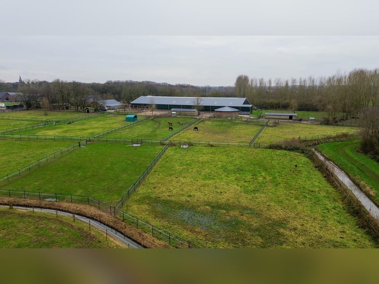 Complete equestrian accommodation