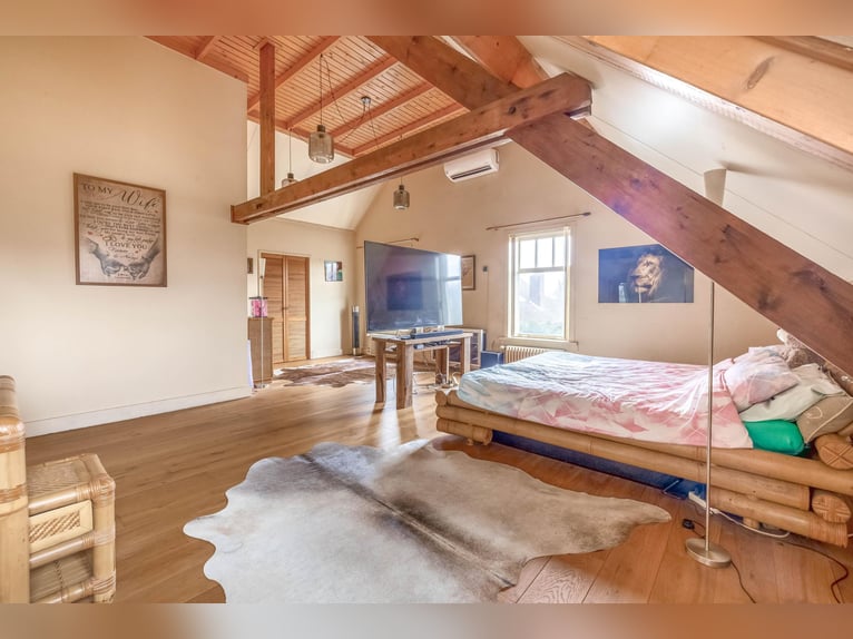 Complete equestrian accommodation