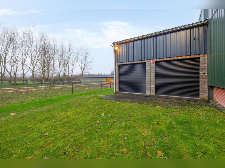 Complete equestrian accommodation