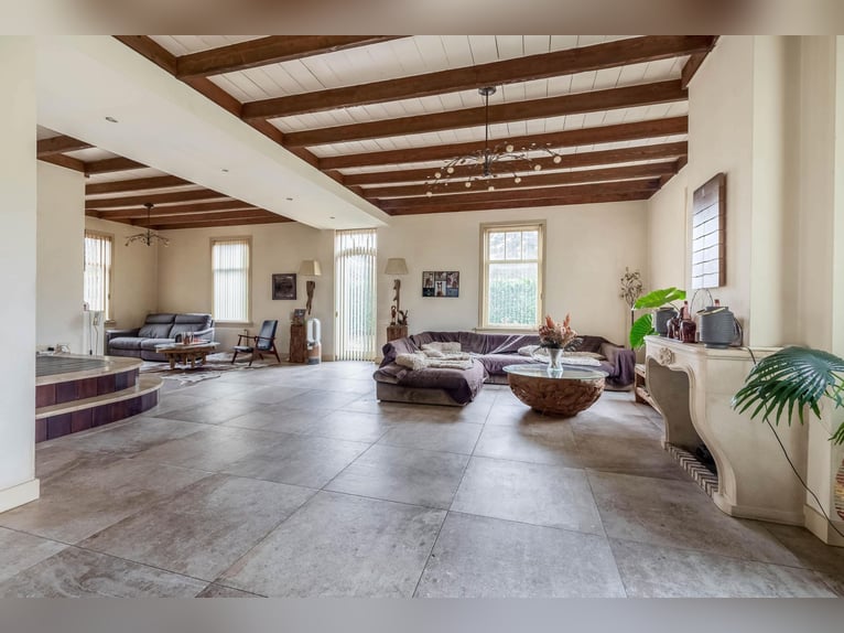 Complete equestrian accommodation