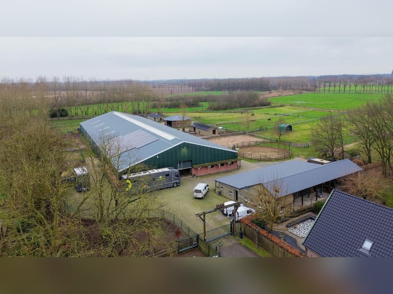 Complete equestrian accommodation