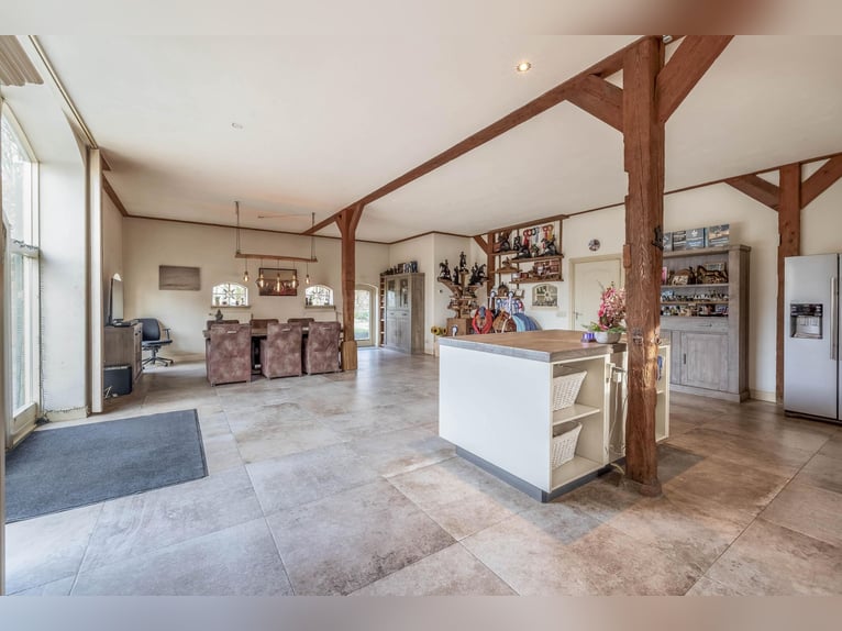 Complete equestrian accommodation
