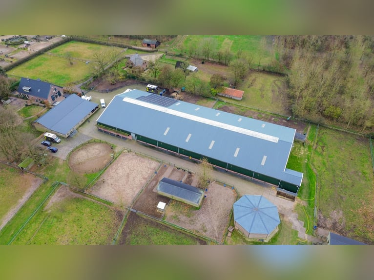 Complete equestrian accommodation