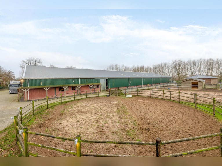 Complete equestrian accommodation