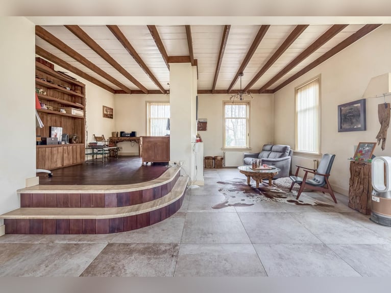 Complete equestrian accommodation