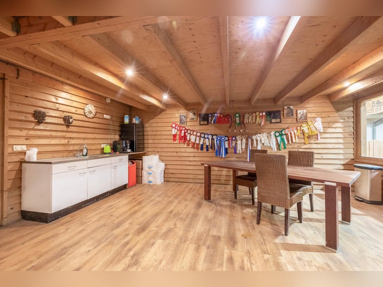 Complete equestrian accommodation