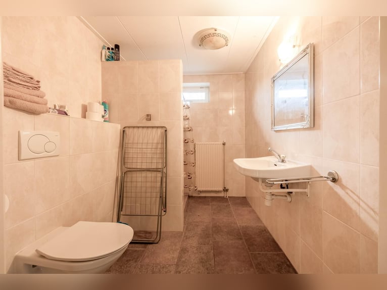 Complete equestrian accommodation