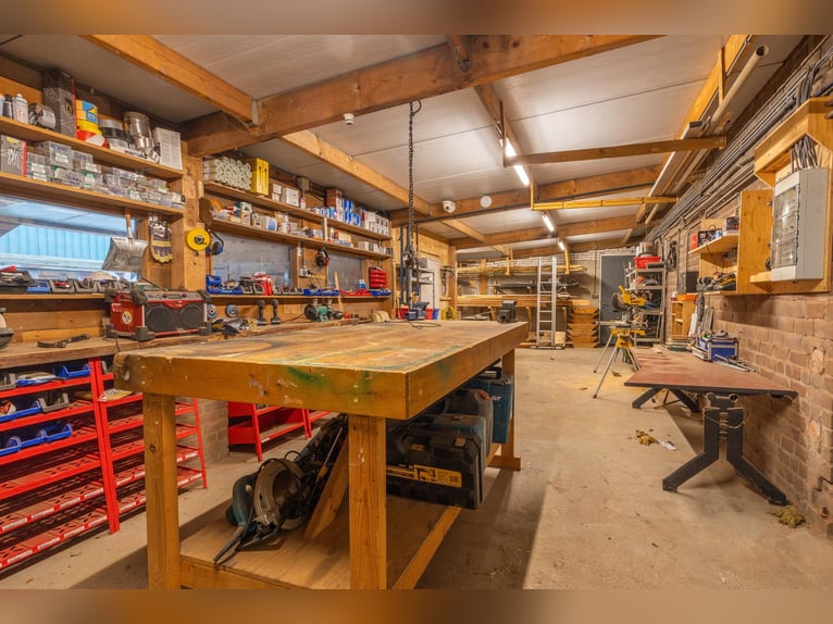 Complete equestrian accommodation
