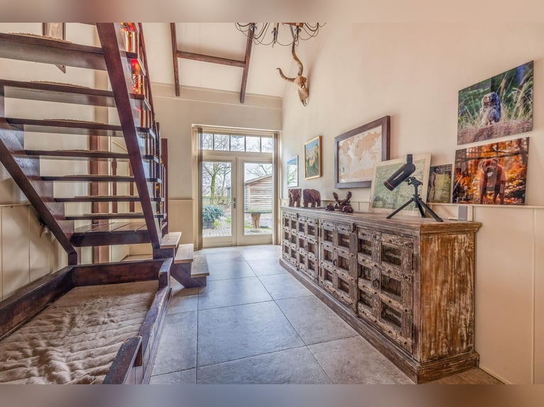 Complete equestrian accommodation