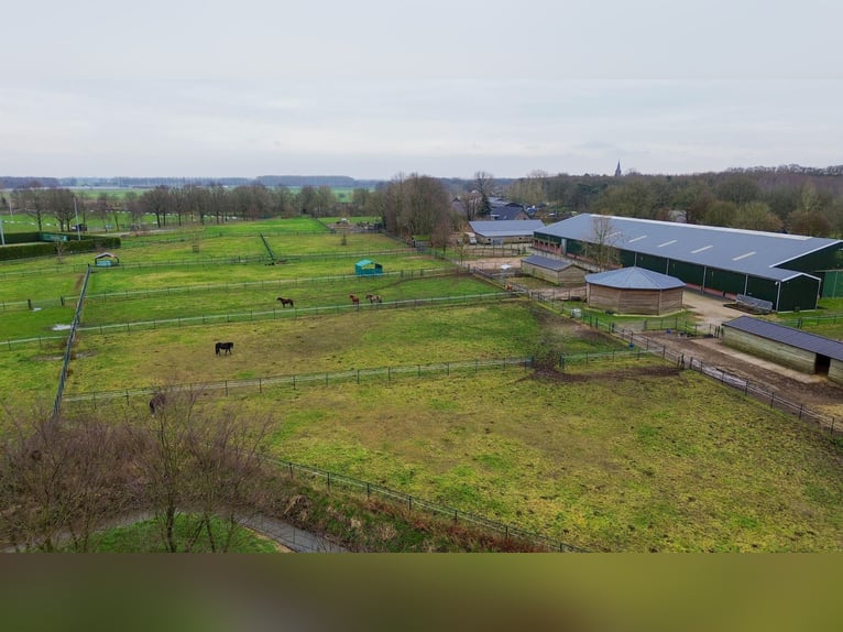 Complete equestrian accommodation