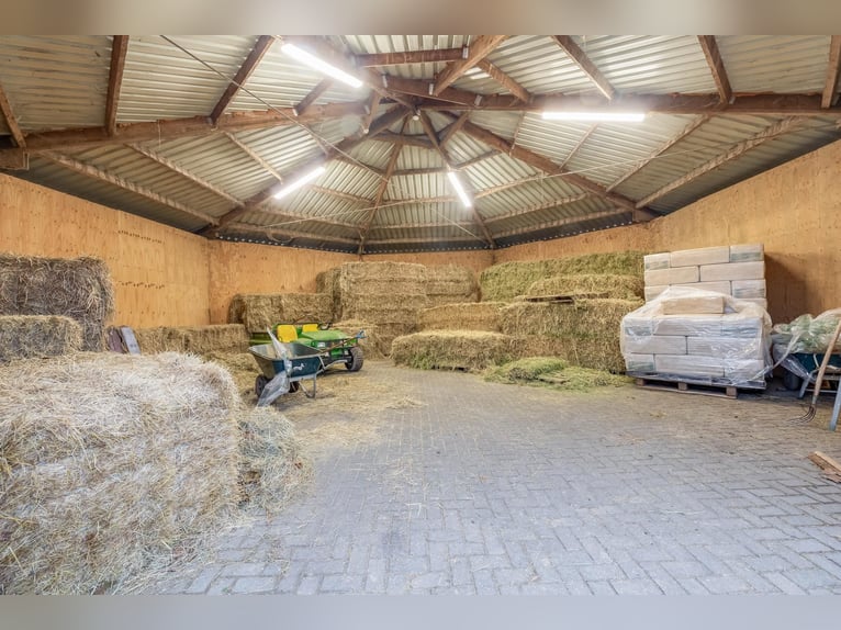 Complete equestrian accommodation