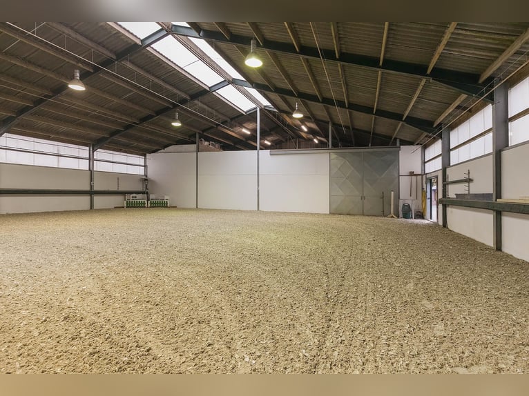 Complete Equestrian Facility with Residence and Extensive Amenities