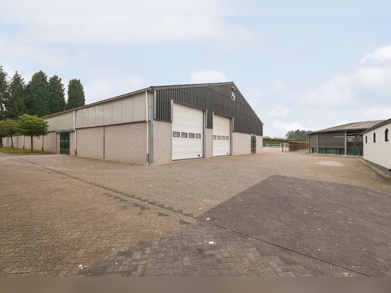 Complete Equestrian Facility with Residence and Extensive Amenities