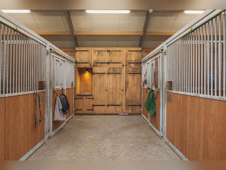 Complete Equestrian Facility with Residence and Extensive Amenities