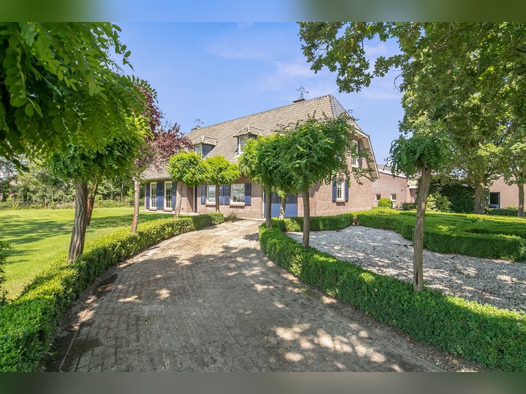 Detached house with riding hall behind, a half-hour drive from Equestrian Centre de Peelbergen!