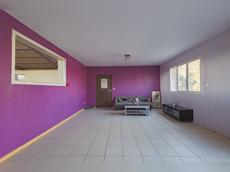 Ecurie à forte rentabilité - Activité de transit