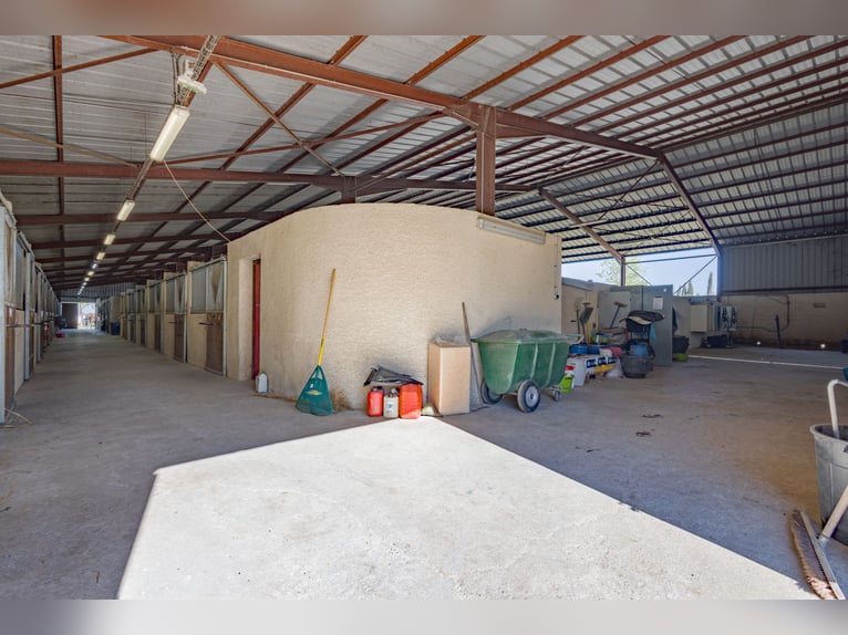 Ecurie à forte rentabilité - Activité de transit