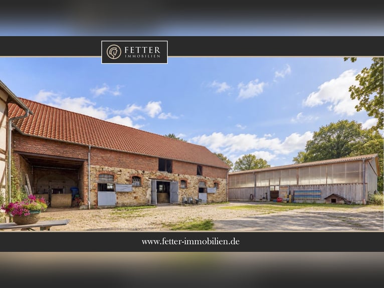 Écurie à vendre près de Wolfsburg, pouvant accueillir environ 18 chevaux !