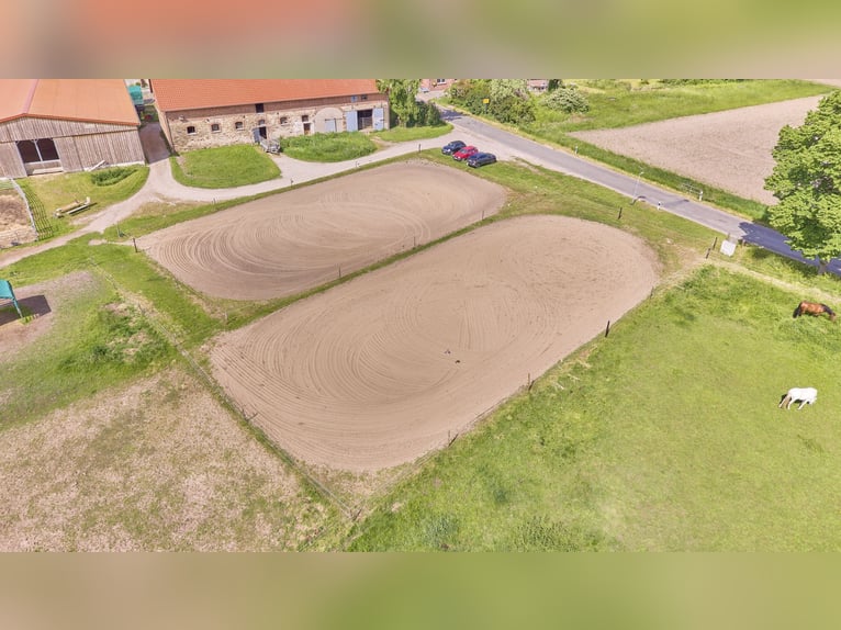 Écurie à vendre près de Wolfsburg, pouvant accueillir environ 18 chevaux !