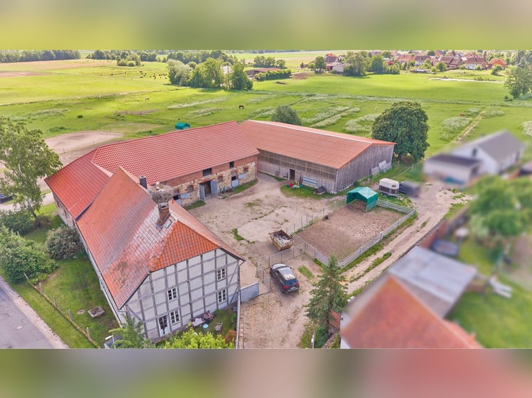 Écurie à vendre près de Wolfsburg, pouvant accueillir environ 18 chevaux !