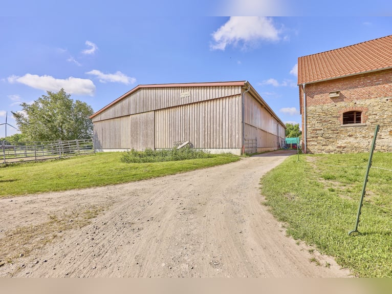 Écurie à vendre près de Wolfsburg, pouvant accueillir environ 18 chevaux !