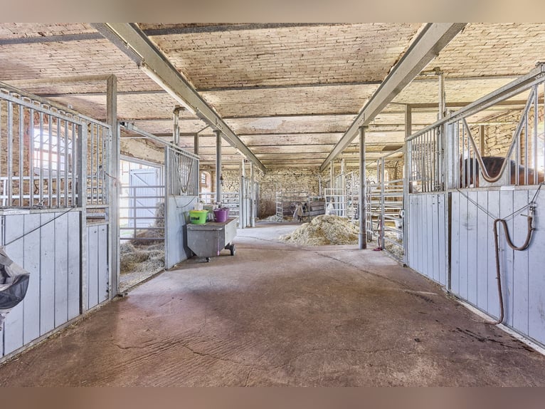 Écurie à vendre près de Wolfsburg, pouvant accueillir environ 18 chevaux !