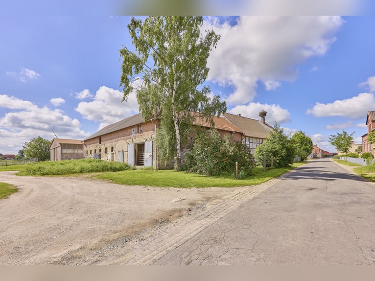 Écurie à vendre près de Wolfsburg, pouvant accueillir environ 18 chevaux !