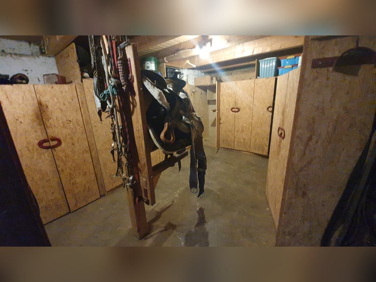 Écurie attrayante avec un potentiel d'utilisation polyvalent à Bad Neustadt an der Saale