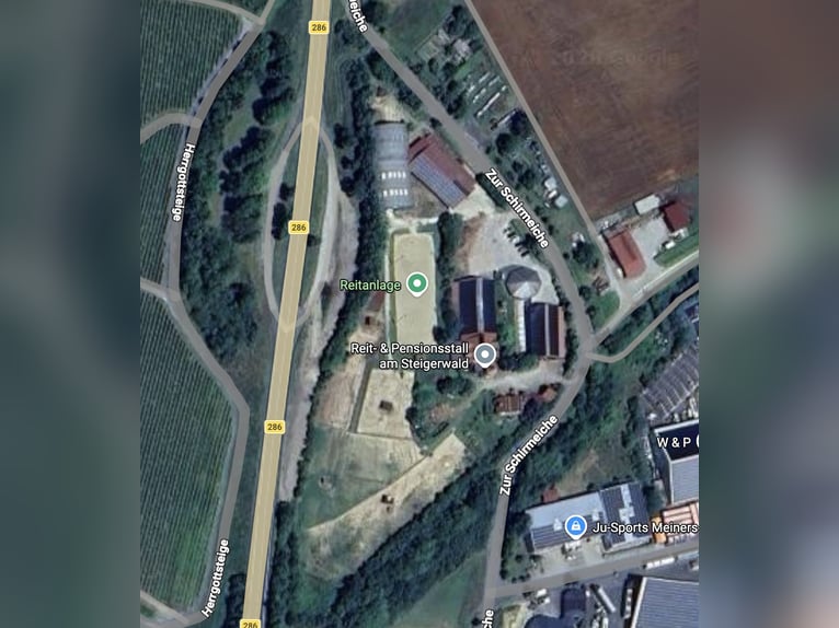 Écurie complète avec 15 paddocks-boxes, 8 places en paddock extérieur, manège et carrière de dressag