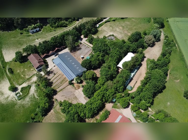 Écurie de pension prête à reprendre immédiatement avec 33 cavaliers et un potentiel de croissance