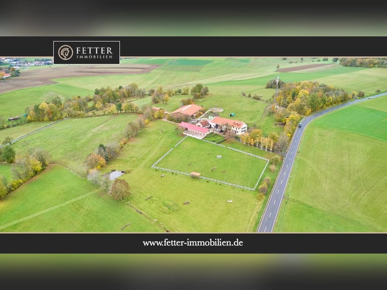 Écurie en situation isolée à vendre dans le district de Main-Kinzig – avec une grande maison de maît