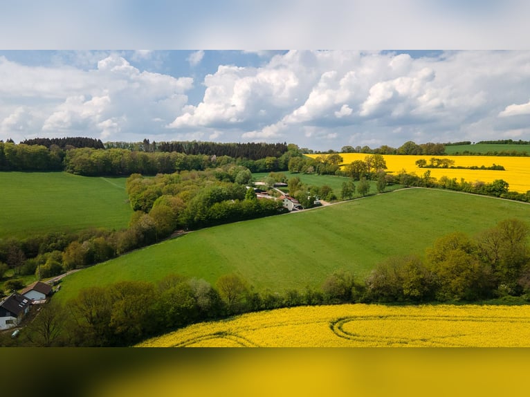 Écurie en situation isolée à vendre près de St. Wendel – près de 15 hectares de terrain en propriété
