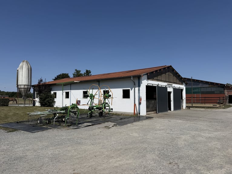 Écurie équestre avec manège pour cavaliers ambitieux et passionnés de chevaux. Capacité jusqu'à 60 c