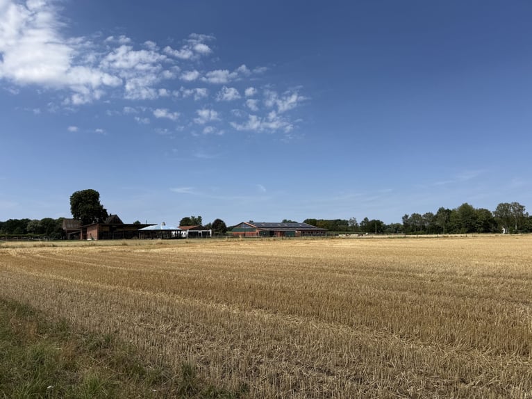 Écurie équestre avec manège pour cavaliers ambitieux et passionnés de chevaux. Capacité jusqu'à 60 c