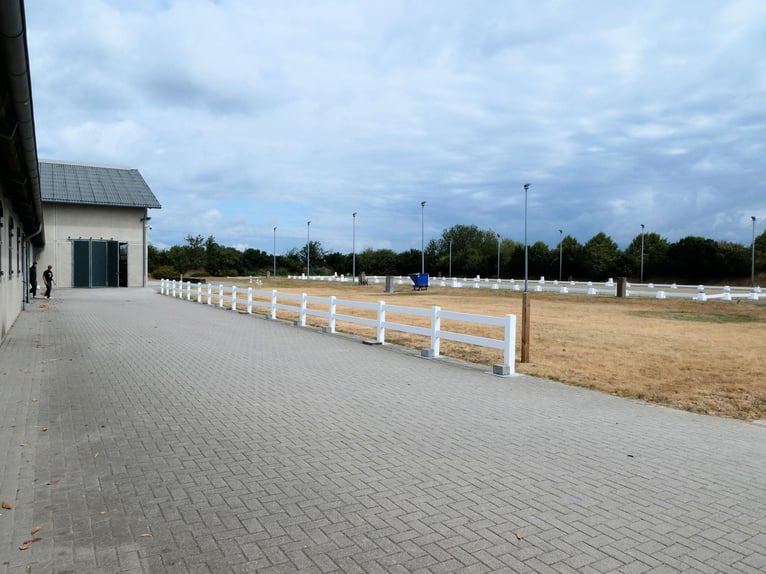 Écurie exclusive dans la région de Düsseldorf, Allemagne