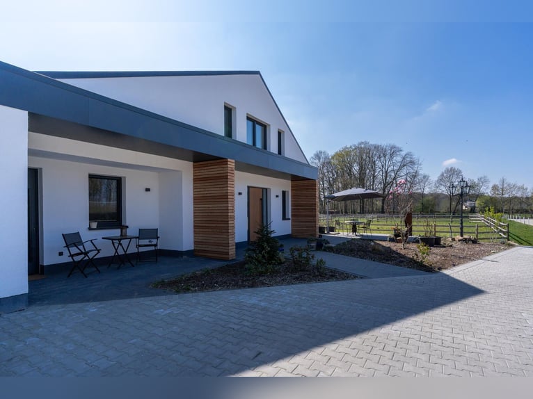 Écurie exclusive située entre Münsterland et Ostwestfalen, résidence et entraînement au plus haut ni