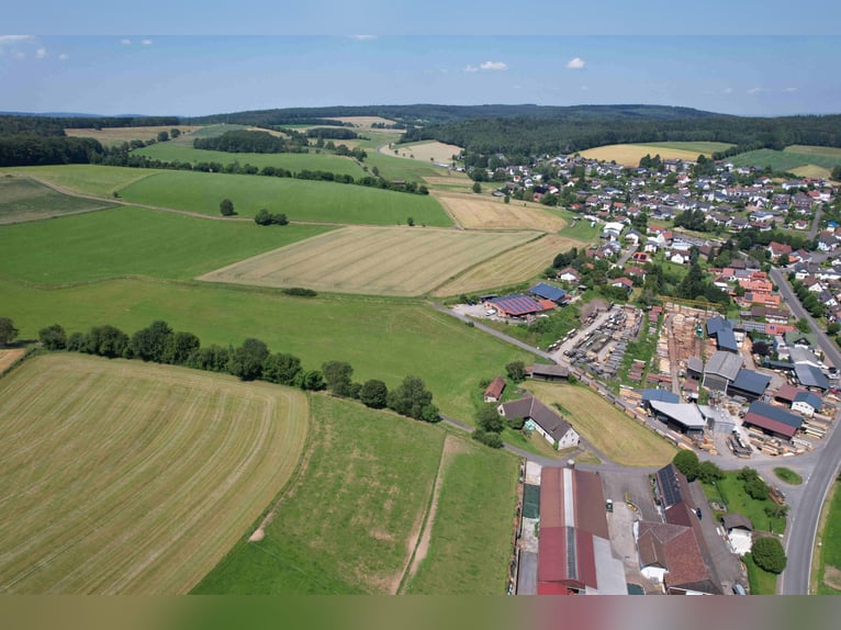 Einzigartiges Grundstück zur Errichtung einer neuen Reitanlage oder für andere Zwecke in bester Lage