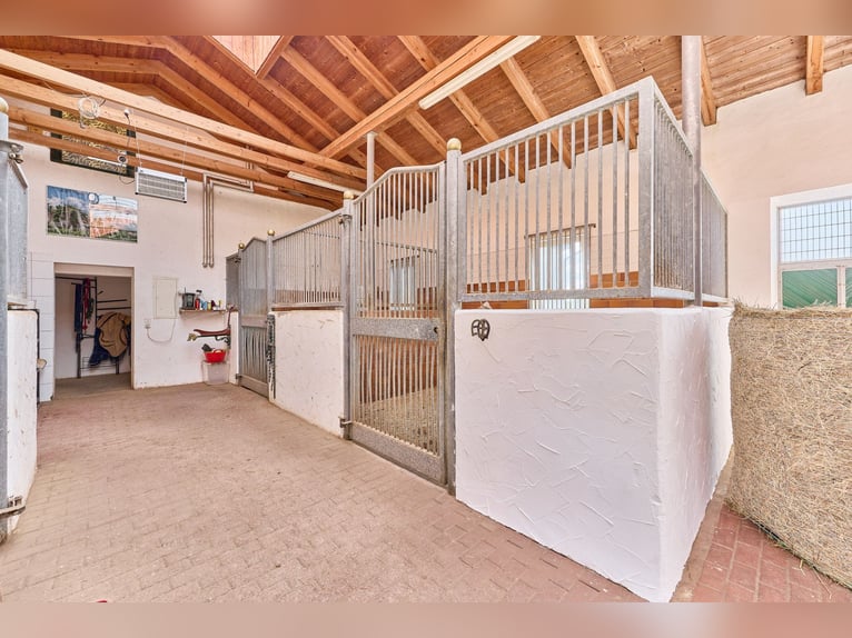 Élevage de chevaux en Bavière inférieure avec manège, charmante maison de campagne et piscine chauff